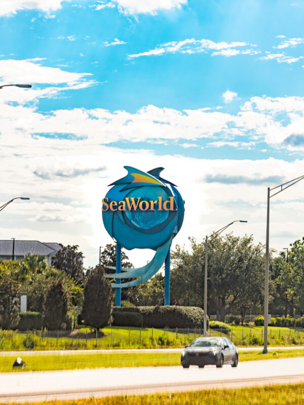 Dive Into Team Building: WCO Academy Heads to SeaWorld for an Unforgettable Office Day